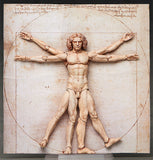 Figma SP-075 Vitruvian Man from The Table Museum [SOLD OUT]